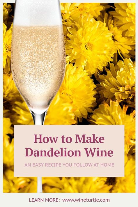 Dandelion Wine Recipe, Wine Cheat Sheet, Homemade Wine Recipes, Muscadine Wine, Dandelion Wine, Homemade Alcohol, Wine Recipe, Foraged Food, Homemade Wine