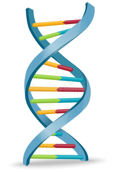 DNA. Vector illustration of human DNA structure , #affiliate, #Vector, #DNA, #illustration, #structure, #human #ad Dna Structure Drawing, Dna Art Design, Grad Poster Ideas, Dna Images, Dna Symbol, Dna Illustration, Dna Vector, Dna 3d, Dna Drawing