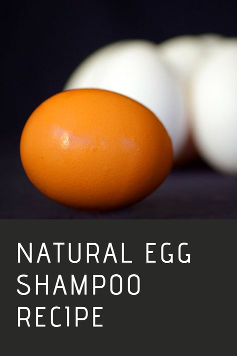 Egg Shampoo Recipes, Egg Shampoo, Low Thyroid Remedies, Diy Shampoo Recipe, Egg For Hair, Egg Benefits, Baking Soda For Hair, Raw Eggs, Protein Shampoo