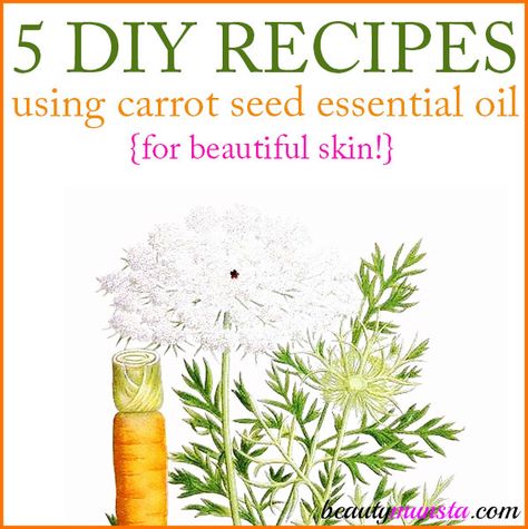 I recently shared 9 beauty benefits of carrot seed oil, which is one of my favorite oils! It has a beautiful orange color and is absolutely fantastic for promoting youthful skin. It can also be used for hair: it’s especially beneficial for healing hair damaged by the sun or heat tools. In today’s post, I … Essential Oil Recipes For Skin, Carrot Seed Oil Benefits, Papaya Lotion, Natural Beauty Hacks, Carrot Seed Essential Oil, Essential Oils For Face, Scrub Diy, Lotion Recipe, Coconut Oil For Face