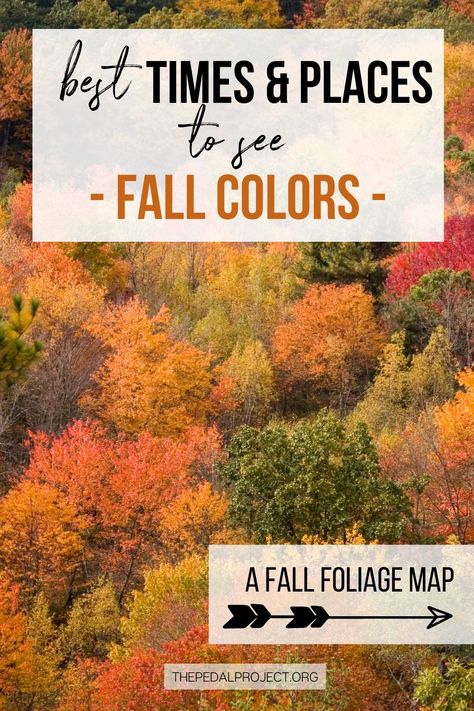 Best Places To See Fall Foliage, Best Fall Foliage Trips, Acadia Fall, Fall Foliage Map, Rv Tour, Fall Foliage Trips, Fall Foilage, Fall Foliage Road Trips, Fall Hikes