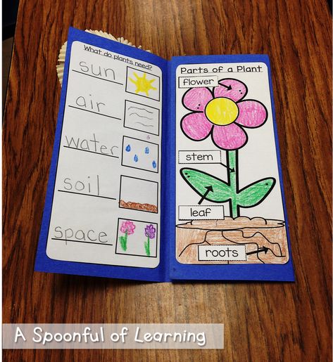 All About Spring and Plants! - Let's Plant - A Spoonful of Learning Plant Unit Kindergarten, Plants Lesson Plans, Evs Worksheet, Plants Kindergarten, Plant Lessons, Spring Preschool Activities, School Post, خريطة ذهنية, Planting For Kids