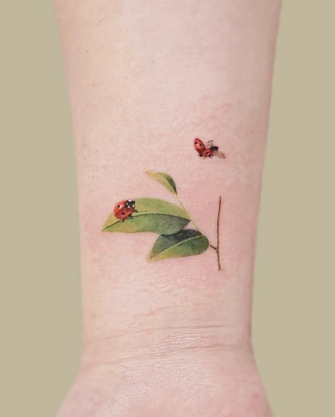 Ladybug And Butterfly Tattoo, Tattoos Ladybug, Tattoo Ladybug, Ladybird Tattoo, Tattoo Male, Barcode Tattoo, Ladybug Tattoo, Black Line Tattoo, Lady Bug Tattoo