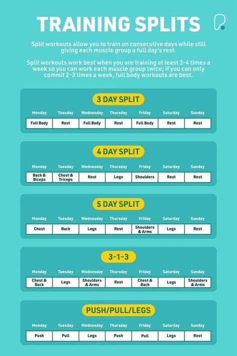 Weightlifting Plan, Best Workout Split, Push Pull Legs Workout, Leg Workout Plan, Push Pull Workout, Gym Workout Plan, Strength Training Plan, Strength Training Guide, Strength Routine