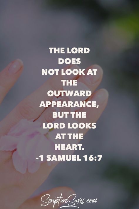 Devine Light, Daily Devotional Quotes, 1 Samuel 16, Daily Devotion, God Is Amazing, 1 Samuel, God Can, Devotional Quotes, Prayer Verses