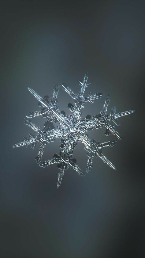 Real Snowflakes Photography, Crystals Decorations, Art Prints Ideas, Purple Rocks, Snowflake Photography, Real Snowflakes, Snowflake Pictures, Winter Goddess, Snow Wallpaper