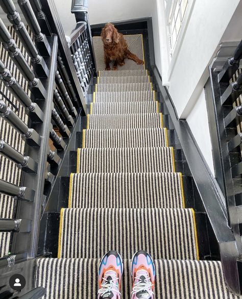 My Striped Stair Runner: Everything You Need To Know - The Idle Hands Yellow Stairs, Stairway Gallery, Stairway Gallery Wall, Striped Stair Runner, Single White Female, Hallway Colours, Contemporary Stairs, Striped Carpets, House Staircase