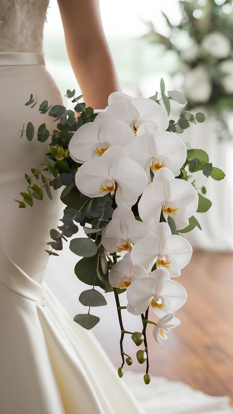 Classic White Orchid Wedding Bouquet Ideas Low Orchid Centerpieces Wedding, Minimal Orchid Bouquet, Hanging Orchids Wedding, Wedding Bouquet For Bride, Orchid Waterfall Bouquet, Orchid Bridal Bouquets Unique, Simple Orchid Bouquet, Classic Elegant Wedding Bouquet, Simple Elegant Bouquet