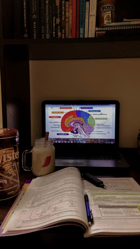 The pin includes a picture of my desk. The desk has a laptop on top of it with a diagram of human brain pulled up. In front of the laptop is an open notebook with highlighter pen between the pages. Near the laptop is a mason jar containing cold coffee and a chocolate Twister. The Twister tin box is also visible in the left corner. Above the laptop is a shelf containing a few books and another jar of candies. Better Version Of Myself Aesthetic, Study Asethetic Pic, Bettering Myself Aesthetic, Focus On Myself Aesthetic, Focusing On Myself Aesthetic, Working On Myself Aesthetic, Best Version Of Myself Aesthetic, Myself Aesthetic, Focusing On Myself