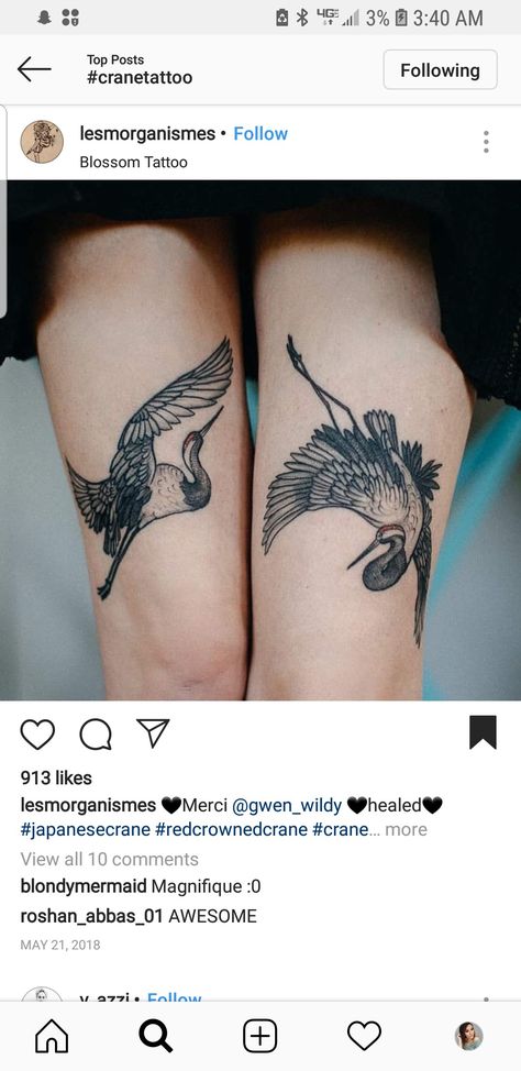 Crane And Clouds Tattoo, Crane Wife Tattoo, 2 Cranes Tattoo, Dancing Crane Tattoo, Crane Leg Tattoo, Korean Crane Tattoo, Whooping Crane Tattoo, Two Cranes Tattoo, Crane Tattoo Back