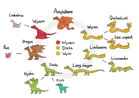 Dragons, drakes, wyrms, etc graph Types Of Dragons, Sea Serpent, Creature Drawings, Fantasy Creatures Art, Mythical Creatures Art, Mythological Creatures, Dragon Drawing, Creature Concept Art, Mystical Creatures