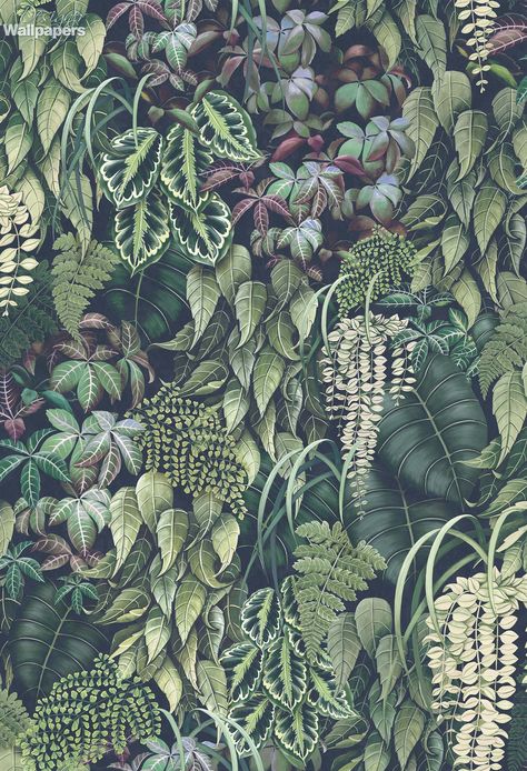 Confirmation Wallpaper, Osborne And Little Wallpaper, Bathroom Fittings, How To Hang Wallpaper, Teal Wallpaper, Jungle Wallpaper, Tropical Wallpaper, Order Confirmation, Botanical Wallpaper