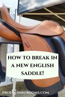 How do you break in your new english saddle? https://www.proequinegrooms.com/tips/saddles-and-bridles/breaking-in-a-new-english-saddle English Horseback Riding, Working Student, Equestrian Saddle, Horse Information, Riding Habit, Riding Clothes, Equestrian Chic, English Horse, Horse Fashion