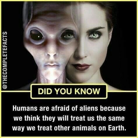 Alien Facts, Diy Wall Decor Ideas, World Facts, Physcology Facts, Wierd Facts, Physiological Facts, Psychological Facts Interesting, Interesting Science Facts, True Interesting Facts