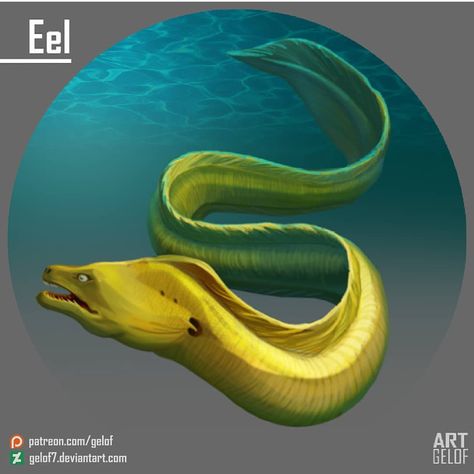 Eel Character Design, Group Art, Pencil Sketches, Sea Animal, Mythical Creatures Art, Monster Design, Creative Arts, Sea Animals, Creature Art