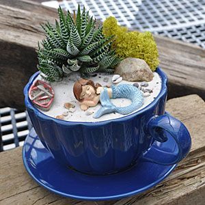 14 Cute Teacup Mini Gardens Ideas                                                                                                                                                     More Small Water Gardens, Fairy Terrarium, Kaktus Dan Sukulen, Teacup Gardens, Fairy Garden Ideas, Teacup Crafts, Miniature Terrarium, Garden Miniature, Fairy Garden Designs