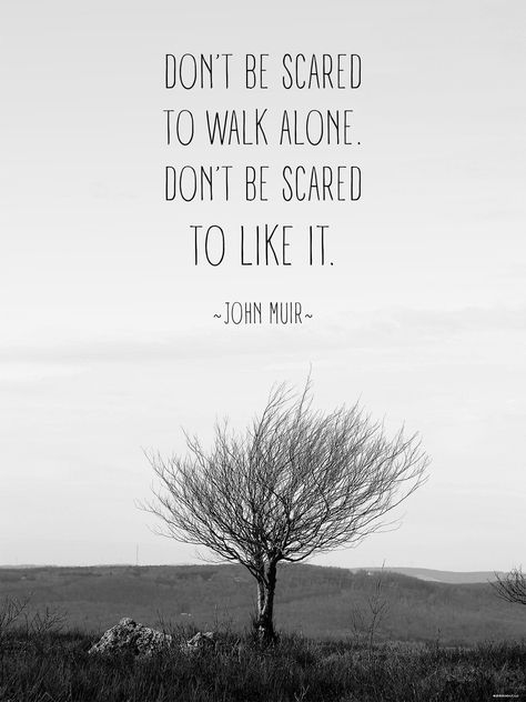 Scared Quotes, Citation Nature, John Muir Quotes, Dont Be Scared, Inspirational Quotes Posters, Walk Alone, Quotes By Genres, Life Quotes Love, John Muir