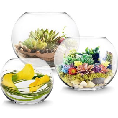 Glass Bowl Terrarium | Asymmetrical | Glass Vases Depot Fish Bowl Terrarium, Indoor Terrarium, Glass Bowl Terrarium, Bowl Terrarium, Terrarium Candle Holder, Freshwater Plants, Floating Candle Holders, Bubble Fish, Terrarium Bowls