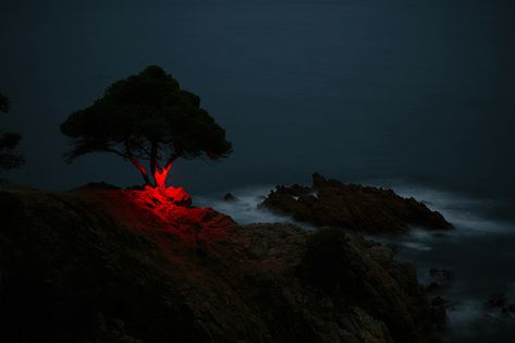 nicolas-rivals-la-linea-roja-installation-nature-long-exposure-light-designboom-02 Aldo Van Eyck, Line Photography, Albert Bierstadt, René Magritte, Richard Serra, Antony Gormley, Jasper Johns, Geometric Lighting, French Photographers