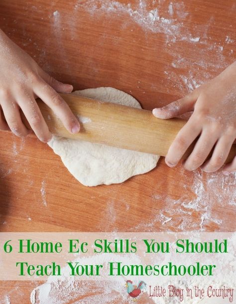 Home Economics Lessons High Schools, Homeschool Unit Study Ideas, Unit Study Ideas, Lesson Plan Ideas, Economics Lessons, Studying Food, Kitchen Safety, Diy Bird Bath, Kids Cooking Recipes