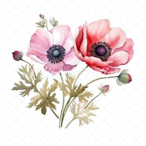 Watercolor Branding, Flower Language, Anemone Flower, Digital Elements, Beautiful Greeting Cards, Digital Assets, Whimsical Illustration, Crafts Beautiful, Digital Watercolor