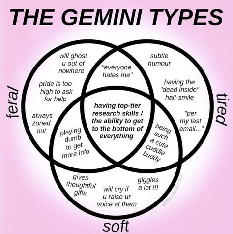 Gemini zodiac description Drunk Texts, To Be Wanted, Research Skills, Big Three, Types Of Cancers, Very Tired, Social Emotional, Zodiac Facts, Empath