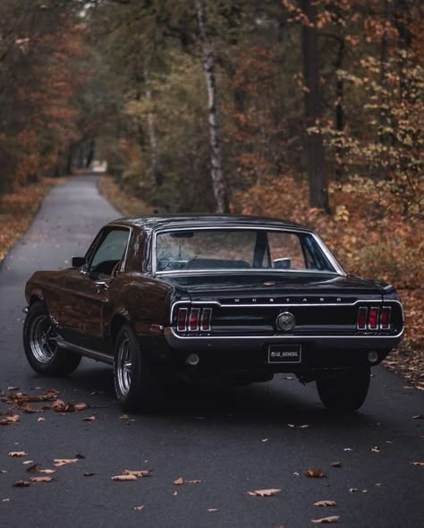 Old Mustang Aesthetic, Mustang Mach 1 1969, Old Mustang, Ford Mustang Classic, Old Cars Vintage, Muscle Cars Mustang, 1968 Mustang, Cars Photography, Good Looking Cars