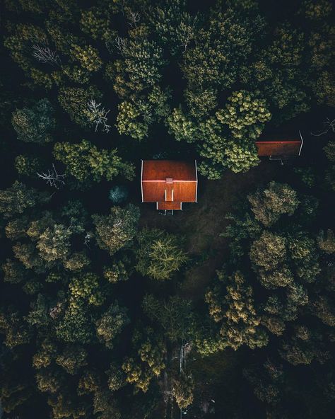 Bird Eye View, Scandinavian Forest, Home In The Woods, Delta Breezes, Dipper Pines, Focus Photography, A Cabin, Cabin In The Woods, Cabin Life