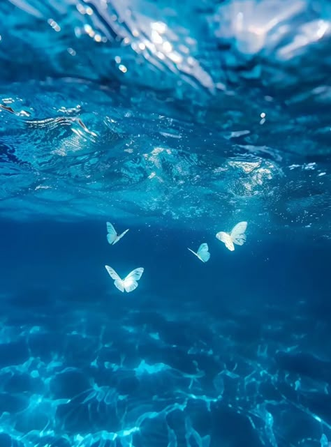 Water Aesthetic, Gothic Wallpaper, Scenery Background, Ocean Pictures, Ocean Water, Summer Wallpaper, Alam Yang Indah, Sea And Ocean, Underwater World