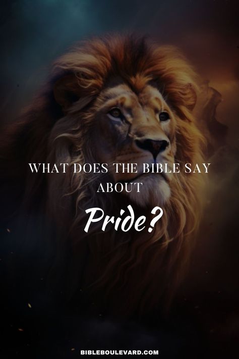 What Does the Bible Say About Pride? Pride In The Bible, Bible Verses For Kids, A Barrier, Bible Devotions, Bible Verses Quotes Inspirational, Verse Quotes, Bible Verses Quotes, The Bible, Bible Study