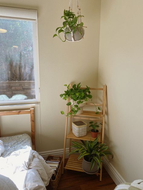 Light Wood And Plants Bedroom, Mid Century Modern Bedroom Plants, Minimalist Plant Room Aesthetic, Plant Based Room, Plant Parent Aesthetic, Room Plant Aesthetic, Green Plant Room, Plant Aesthetic Bedroom, Room Art Aesthetic