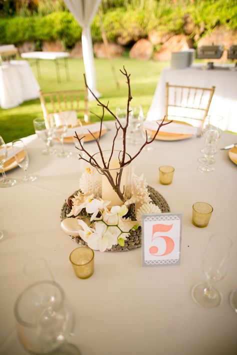 Seashell Centerpieces, Shell Table, Wedding Branches, Couples Bridal Shower, Centerpiece Table, Sea Shell Decor, Inspirational Photos, Beach Wedding Decorations, Table Number