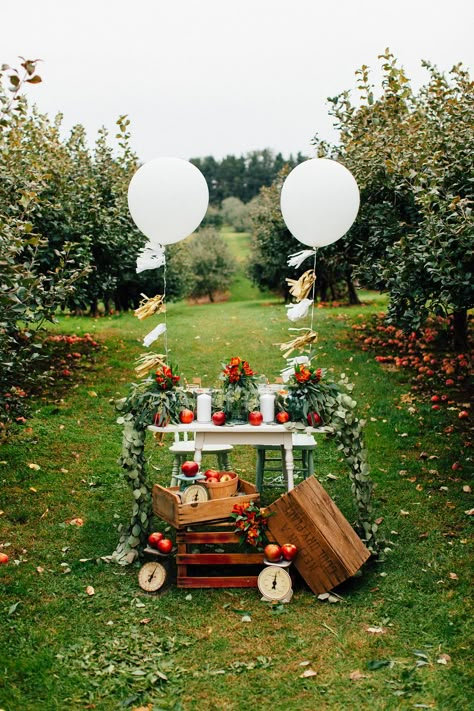 An Apple Farm Picnic featured by @cydconverse Apple Party Theme, Lunch Themes, Apple Birthday Party, Apple Theme Parties, Picnic Themed Party, Farm Picnic, Farm Fest, Apple Stand, Fall Apple Picking