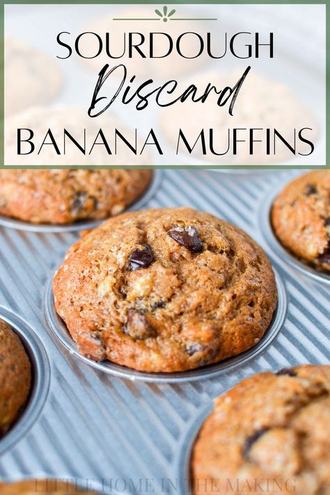 Discard Banana Muffins, Sourdough Banana Muffins, Sourdough Muffin, Sourdough Discard Banana, Sourdough Desserts, Sourdough Discard Recipe, Sourdough Banana, Healthy Banana Recipes, Chocolate Chip Banana Muffins