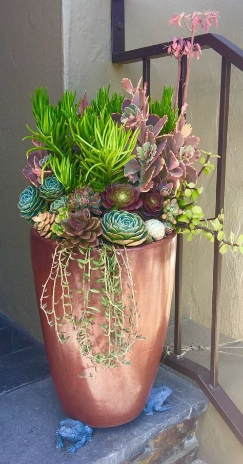 Succulent Pot Arrangements, Succulent Garden Diy Outdoor Backyards, Succulent Container Ideas Outdoors, Succulent Pots Outdoor, Succulent In Pots Outdoors, Large Succulent Arrangements Outdoor, Potted Cactus Garden, Outdoor Succulent Garden Pots, Plant Arrangements Outdoor