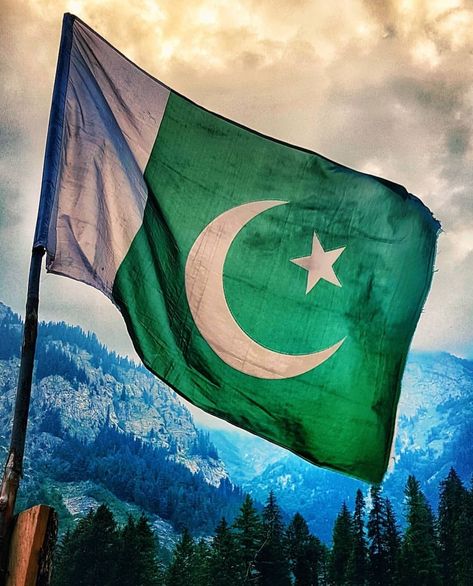 Pakistan Wallpaper, Imran Khan Pic, Pakistan Map, Pakistani Flag, Bus Simulator Indonesia Livery Kerala, Pakistan Day, Weird Quotes, Pakistan Independence, Pakistan Independence Day