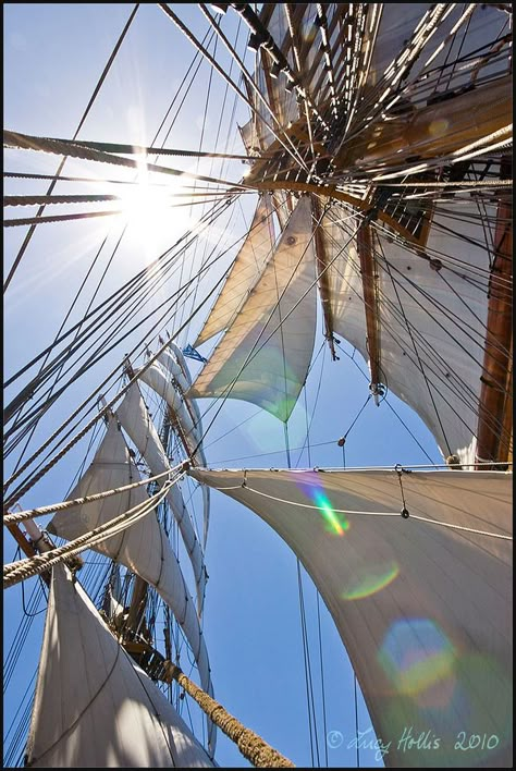 Navi A Vela, Float Your Boat, Tall Ship, Sailing Vessel, Pirate Life, Beach Lover, Tall Ships, Wooden Boats, Set Sail