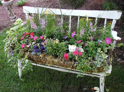 Love this bench and old chairs with flowers planted in them. Funny Vine, Vintage Garden Decor, Garden Containers, Creative Gardening, Unique Gardens, Container Flowers, Garden Bench, Vintage Garden, Lawn And Garden