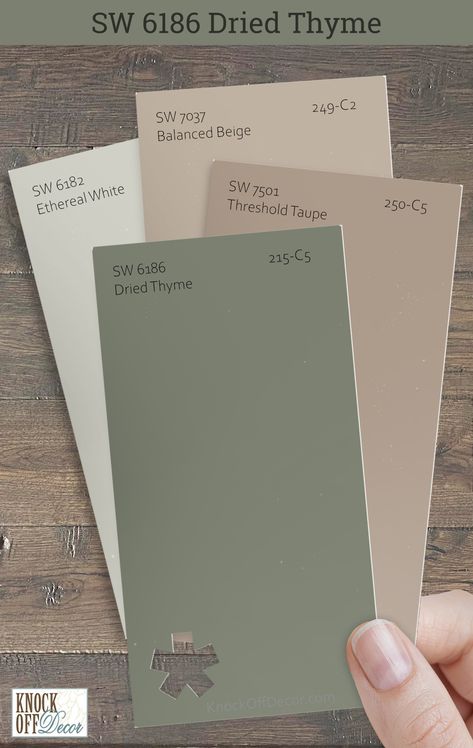 Sherwin Williams Dried Thyme is a hue that invites relaxation into any space. I'm delighted to share my insights on the colors that best complement it such as here with SW Threshold Taupe, Balanced Beige, and Ethereal White. My full review details the more incredible palettes. Click to find your perfect match! Painting Ideas For Outside Of House, Different Painting Ideas For Walls, Green Paint Color Schemes, Thyme Green Paint, Neutral Farmhouse Paint Colors, Interior House Colors Living Rooms, Sage Green Dining Room Accent Wall, Colors That Go With Balanced Beige, Dryer Thyme Sherwin Williams