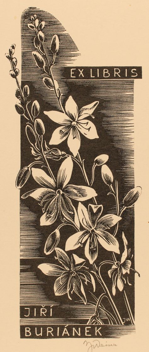 Art-exlibris.net - exlibris by Josef Weiser for Jiri Buriánek Ex Libris Design, Ex Libris Vintage, Flower Encyclopedia Illustration, Ex Libris, Linocut, Floral, Flowers, Art