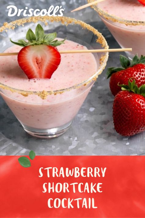 Strawberry Shortcake Drink Alcohol, Strawberry Shortcake Alcoholic Drink, Strawberry Shortcake Cocktail, Creamy Cocktail Recipes, Strawberry Shortcake Drink, Blended Cocktail Recipes, Birthday Cocktail Recipes, Maggie Recipes, Cocktail Recipes Vodka