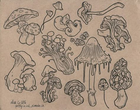 Mushroom Flash, A Drawing, Flash, Plants, Black