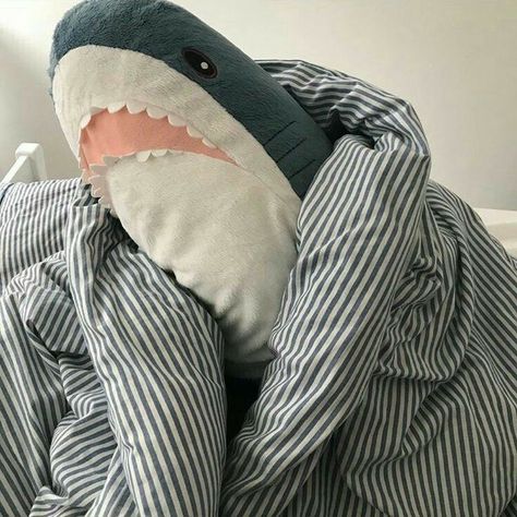 Max Rigel, Shark Plush, Zodiac Academy, Cute Shark, Half Blood, Camp Half Blood, Percy Jackson And The Olympians, Hamsters, Baby Shark