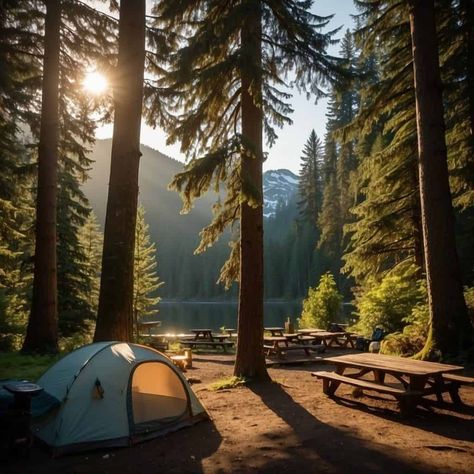 Explore the Hidden Gem: Staircase Campground at Olympic National Park Camping In Olympic National Park, Olympia National Park, River Activities, Washington Camping, Olympic National Forest, Fun Outdoor Activities, Canada Road Trip, Olympic Peninsula, Spring Trip