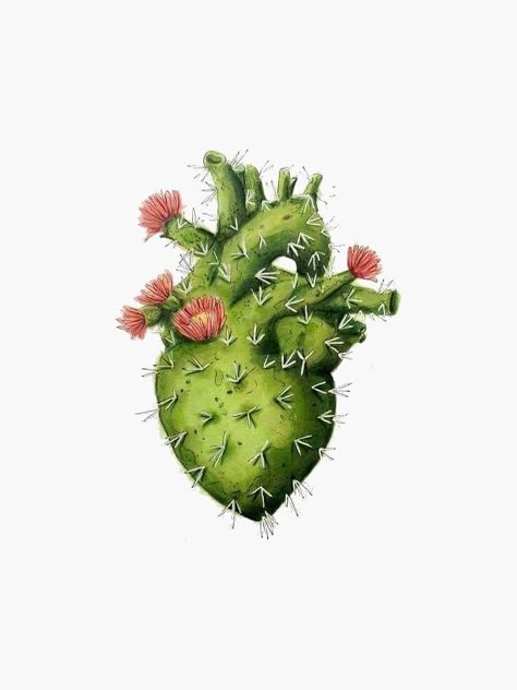 Cactus Heart, Witcher Wallpaper, Surealism Art, Mexican Culture Art, Flowers Heart, Red Socks, Cactus Flowers, Mexican Culture, Special Deals