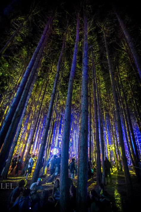 Electric Forest Forest Rave Aesthetic, Forest App, Wilderness Reserve, Electric Forest Festival, 2024 Moodboard, Forbidden Forest, Techno Party, Forest Party, Easter Event