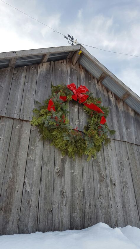 This is a wreath I made with a hula hoop as my template, a bow from the dollar store, and a collection of cedar, blue spruce, pine, & red berries from a bush close by! Diy Giant Outdoor Christmas Wreath, Barn Wreaths, Live Wreaths, Giant Christmas Wreath, Christmas Exterior, Fresh Wreaths, Outdoor Christmas Wreaths, Barn Christmas, Cozy Christmas Decor