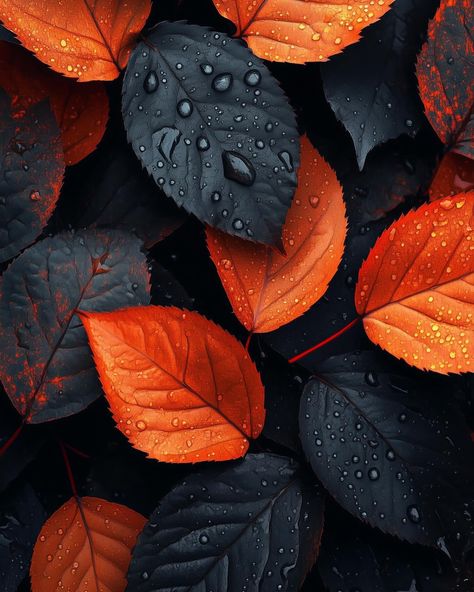 Orange and dark leaves 🍁 #ai #aicommunity Orange And Black Moodboard, Dark Warm Aesthetic, Dark Orange Color Palette, Orange Black Aesthetic, Orange And Black Aesthetic, Black And Orange Aesthetic, Orange And Black Wallpaper, Dark Orange Aesthetic, Dark Orange Background