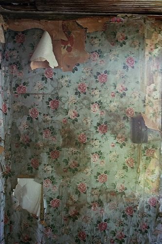 Alvin Toffler, Peeling Wallpaper, Look Wallpaper, Antique Wallpaper, Ivy House, Peeling Paint, Motif Vintage, Old Wall, Old Wallpaper