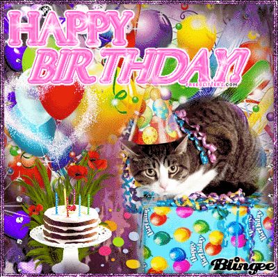 Happy Birthday Happy Birthday Cat Gif, Valentines Specials, Silly Happy Birthday, Happy Birthday Gif, Birthday Gifs, Happy Birthday Cat, Happy Birthday Kids, Birthday Cat, Birthday Pins